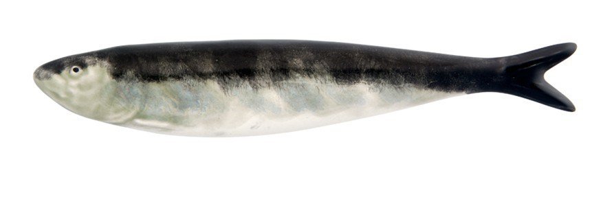 Bordallo Pinheiro's sardine.